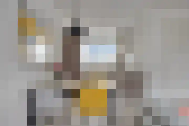 Klaproos 8 Boxmeer thumbnail 13
