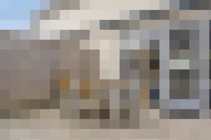 Klaproos 8 Boxmeer thumbnail 18
