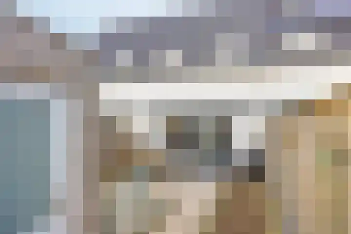 Klaproos 8 Boxmeer thumbnail 19