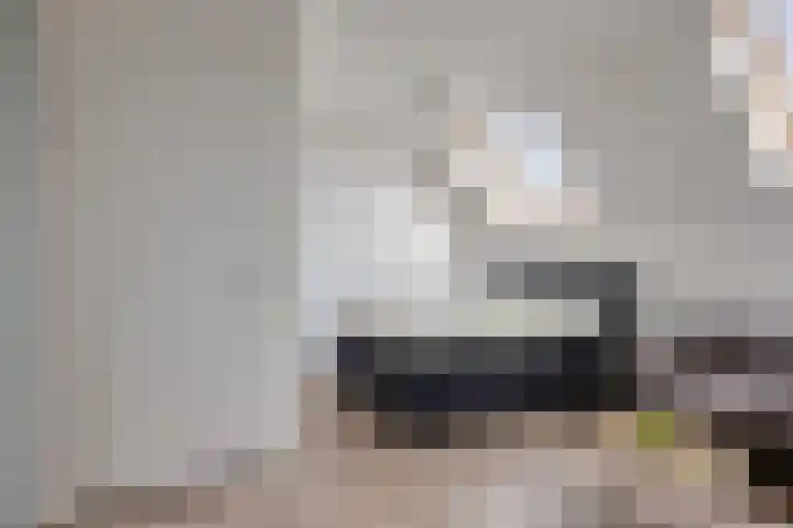 Klaproos 8 Boxmeer thumbnail 20