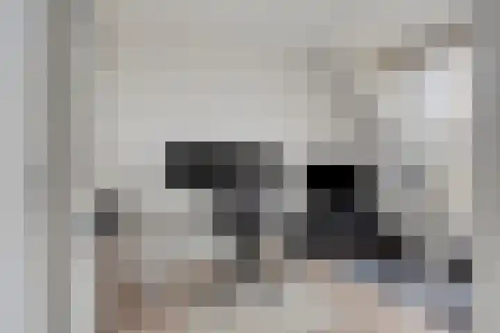 Klaproos 8 Boxmeer thumbnail 24