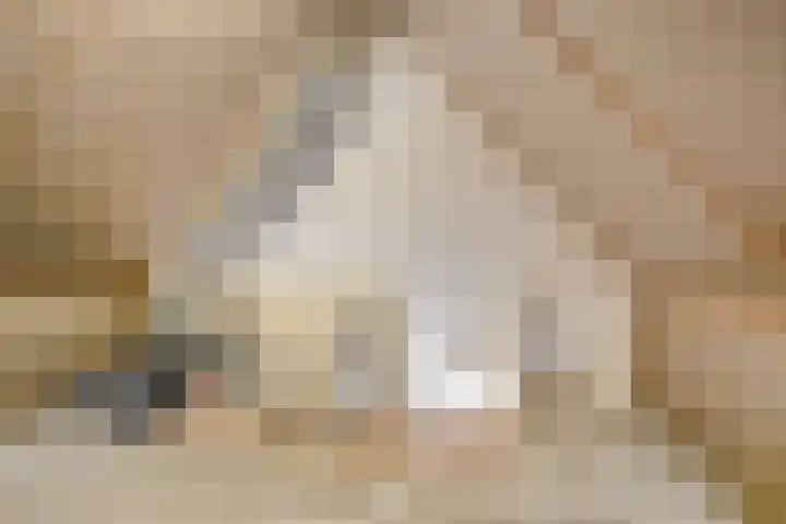 Klaproos 8 Boxmeer thumbnail 26