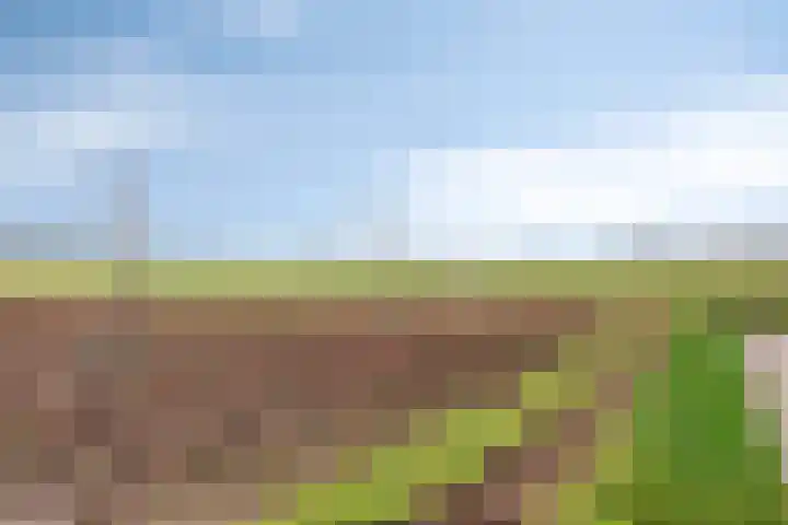 Klaproos 8 Boxmeer thumbnail 28