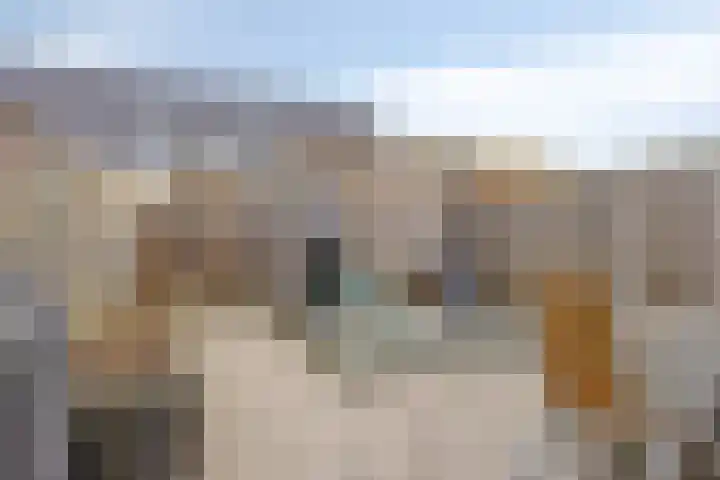 Klaproos 8 Boxmeer thumbnail 4