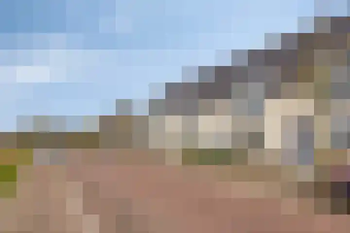 Klaproos 8 Boxmeer thumbnail 5