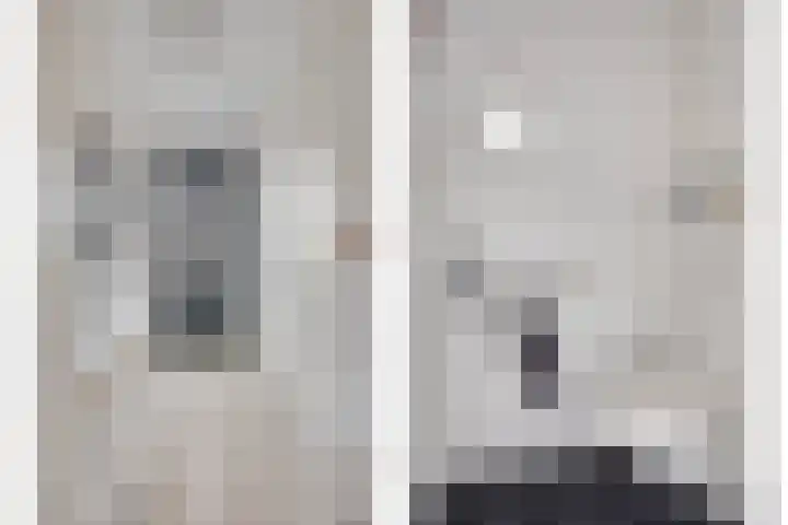 Klaproos 8 Boxmeer thumbnail 8