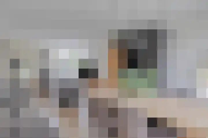 Klaproos 8 Kapelle thumbnail 10