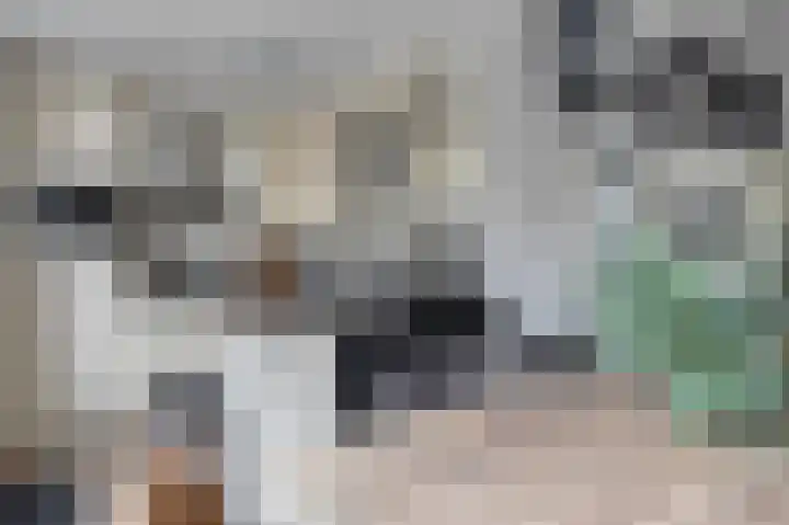 Klaproos 8 Kapelle thumbnail 13
