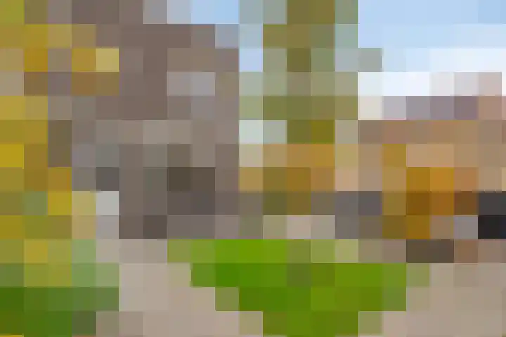 Klaproos 8 Kapelle thumbnail 28