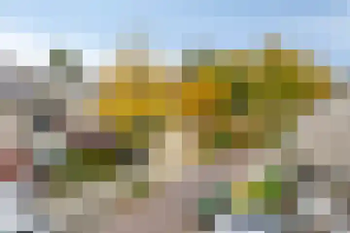 Klaproos 8 Kapelle thumbnail 34