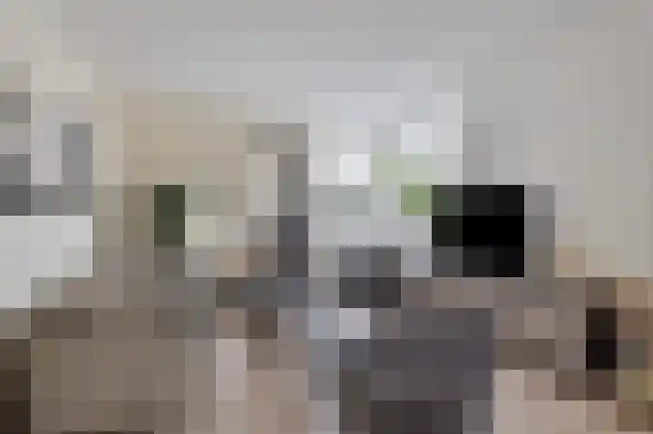 Klaproos 8 Kapelle thumbnail 5