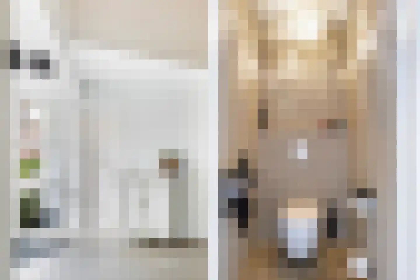 Klaproos 9 Nijkerk thumbnail 10