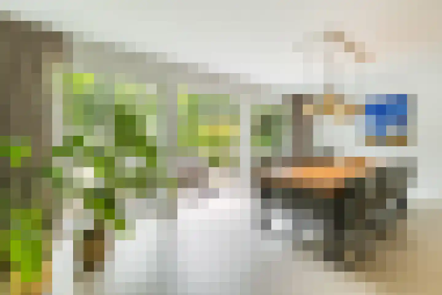 Klaproos 9 Nijkerk thumbnail 16