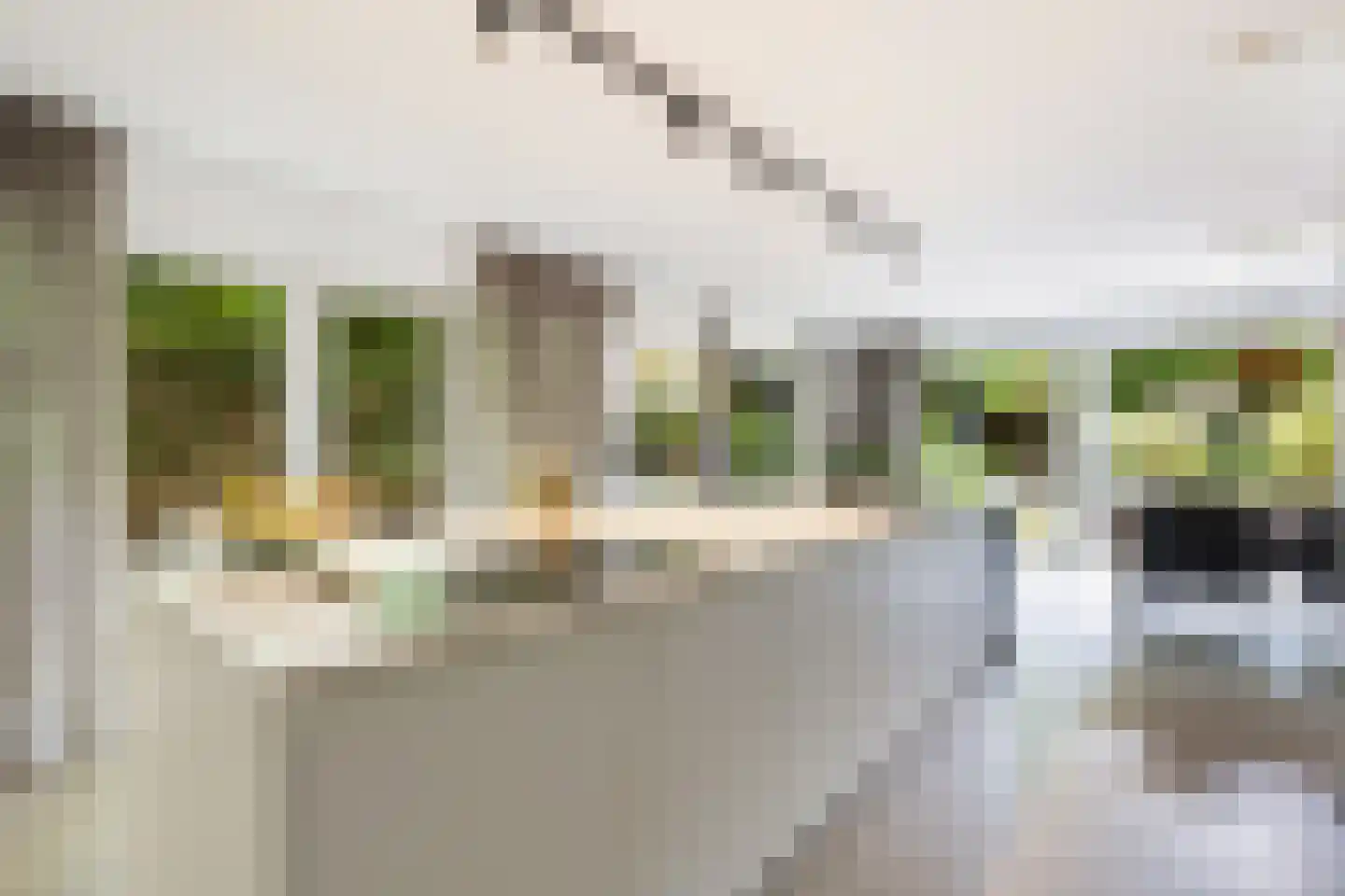 Klaproos 9 Nijkerk thumbnail 19
