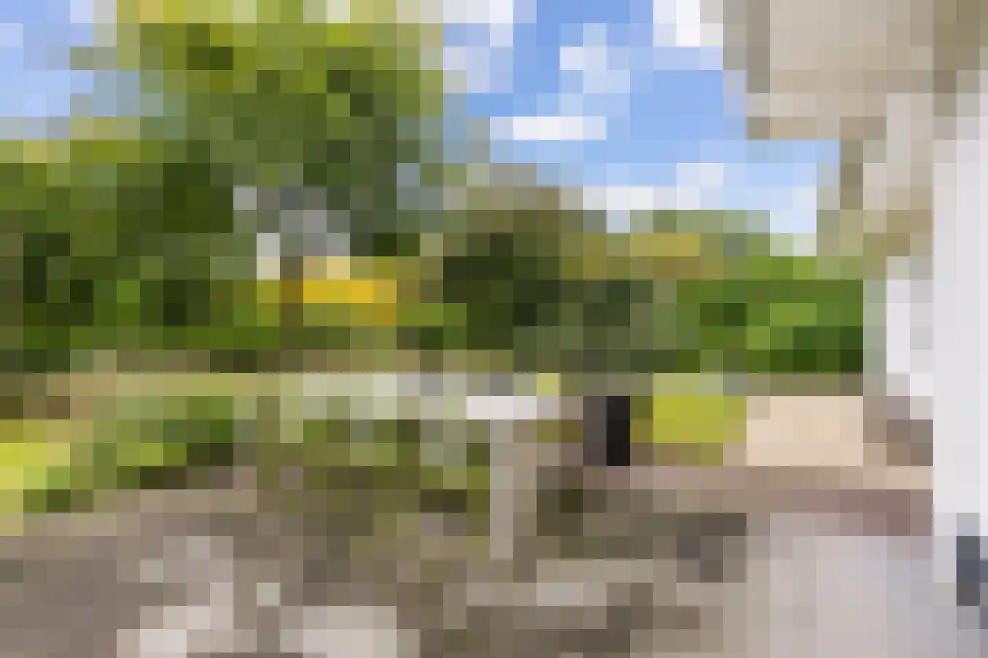 Klaproos 9 Nijkerk thumbnail 24