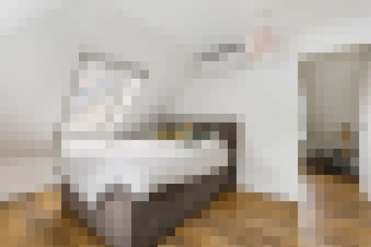 Klaproos 9 Nijkerk thumbnail 32