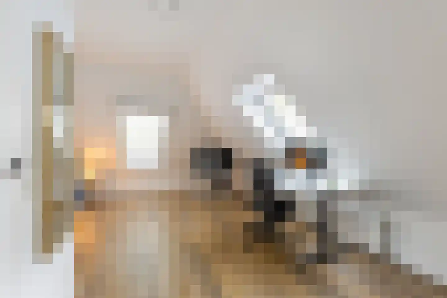 Klaproos 9 Nijkerk thumbnail 34
