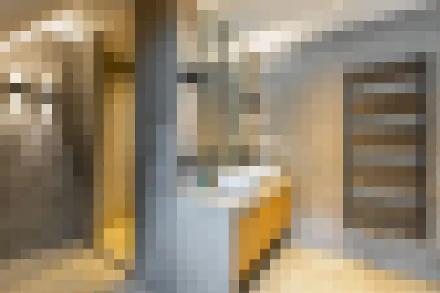 Klaproos 9 Nijkerk thumbnail 40