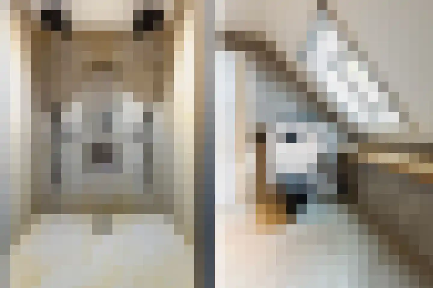 Klaproos 9 Nijkerk thumbnail 41