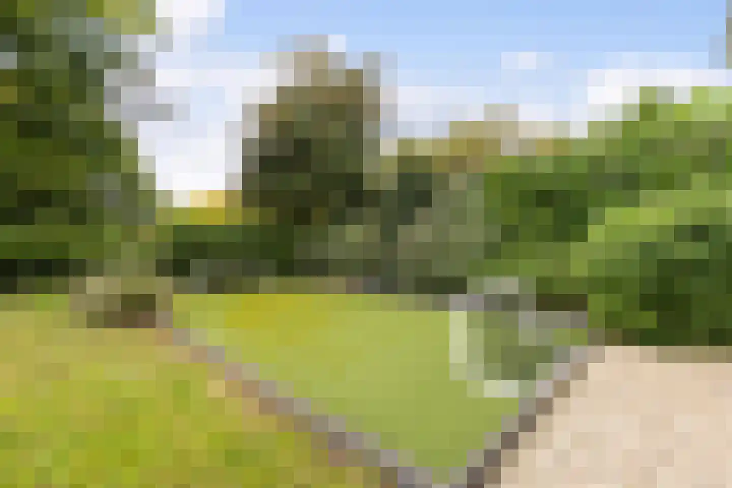 Klaproos 9 Nijkerk thumbnail 46