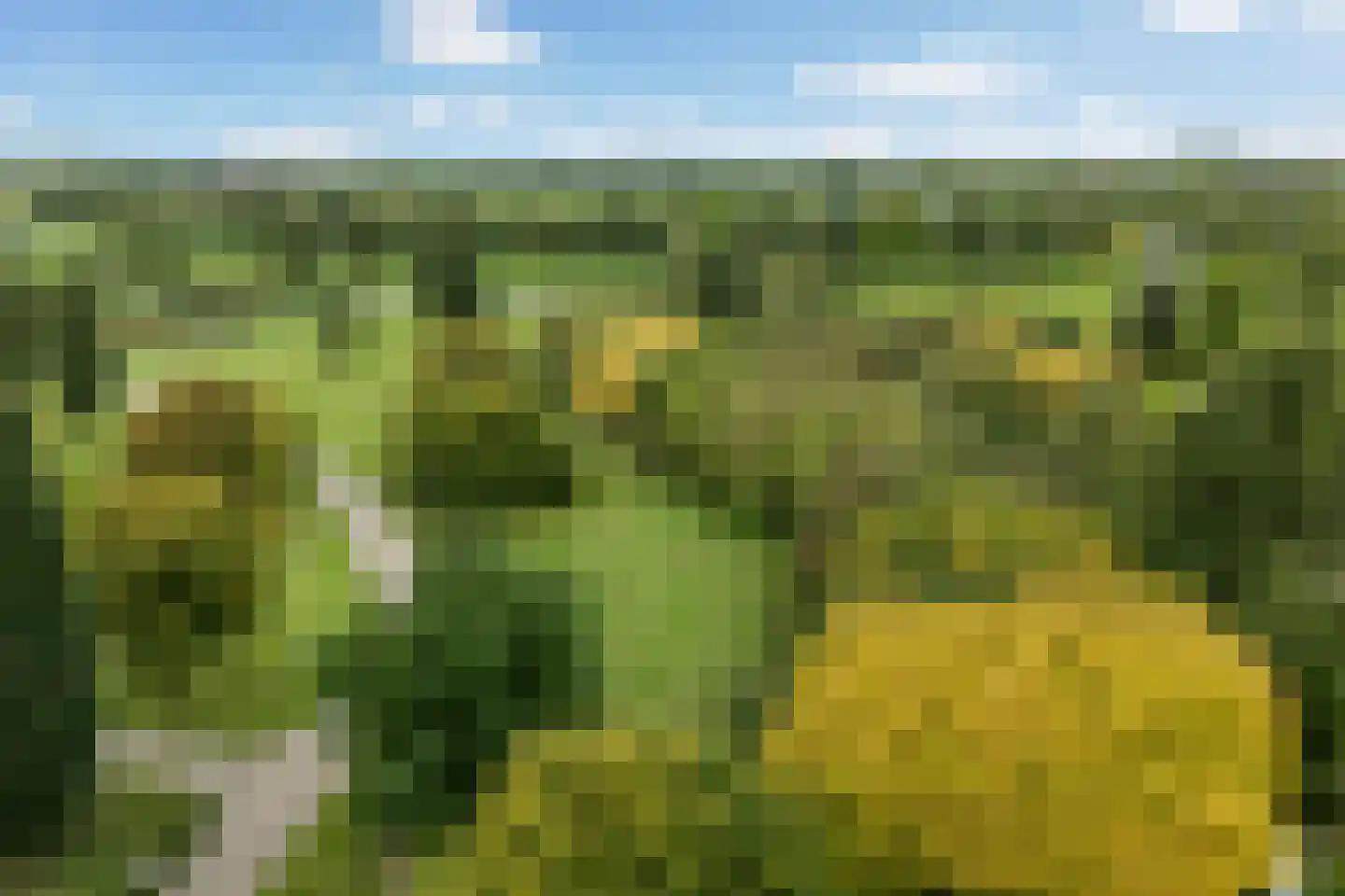 Klaproos 9 Nijkerk thumbnail 47