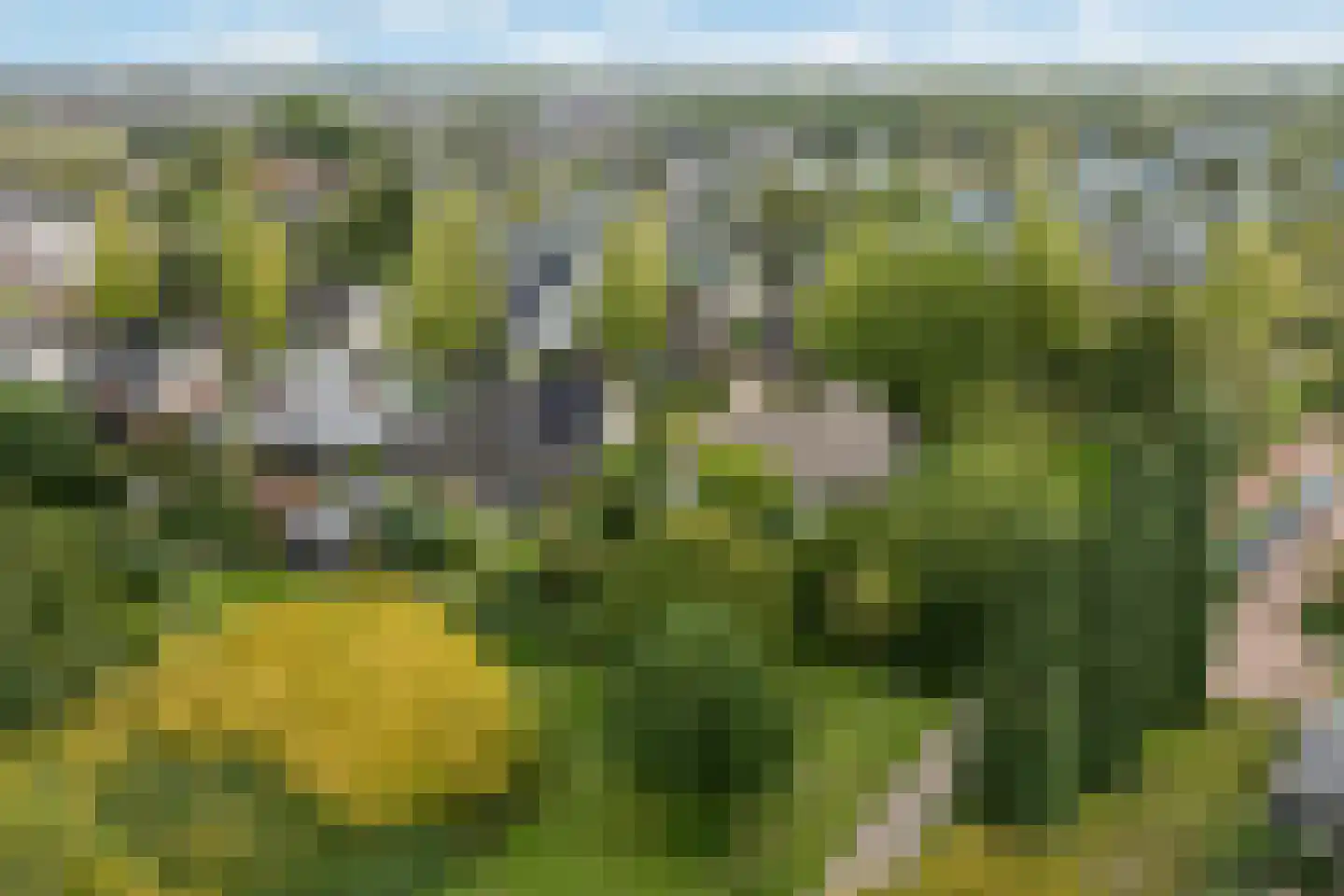 Klaproos 9 Nijkerk thumbnail 49