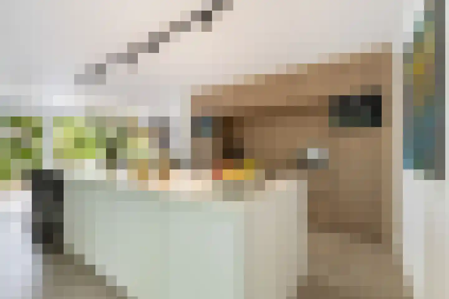 Klaproos 9 Nijkerk thumbnail 5