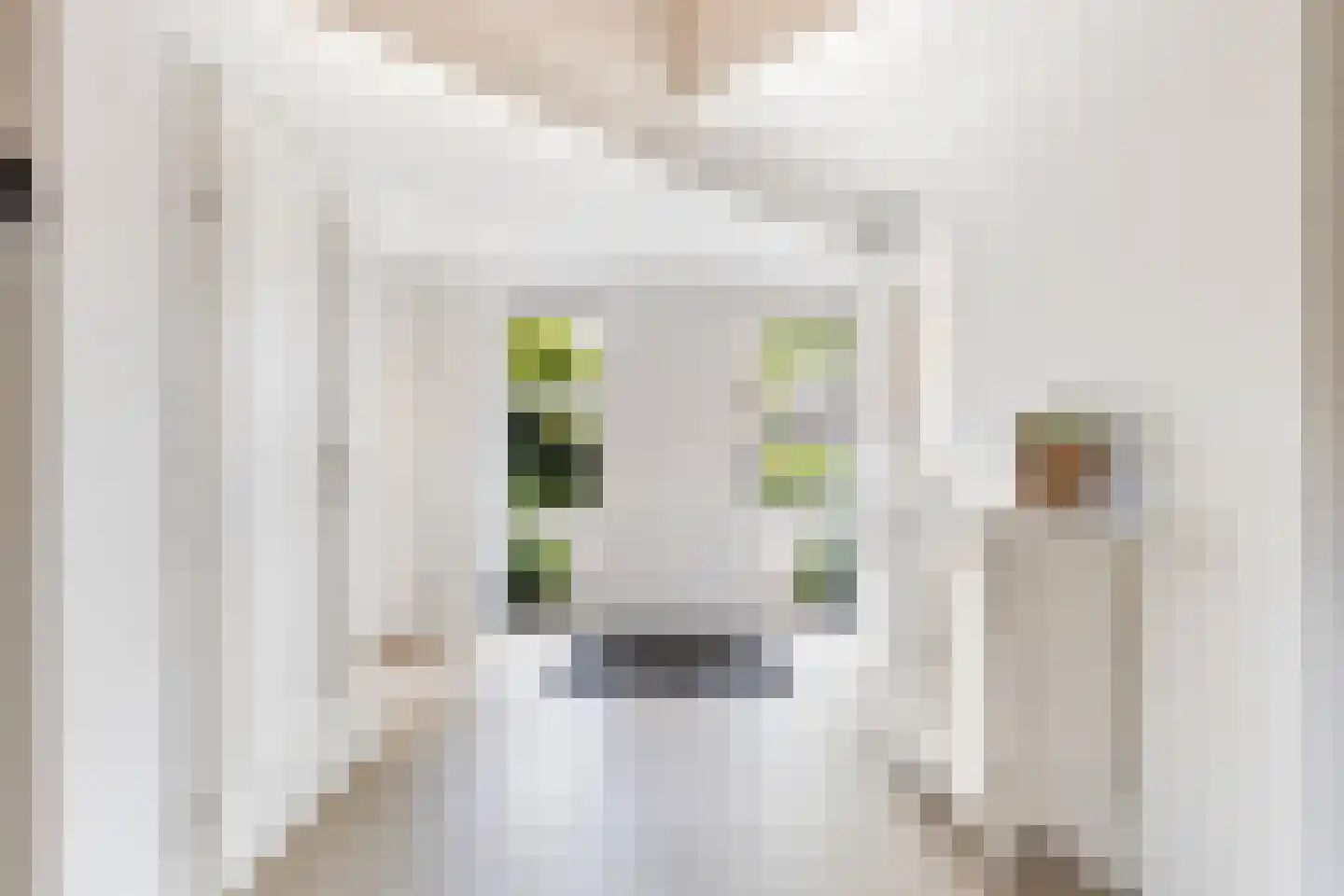 Klaproos 9 Nijkerk thumbnail 8