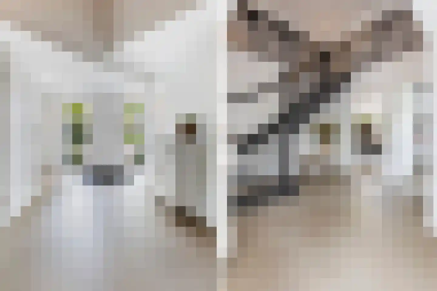 Klaproos 9 Nijkerk thumbnail 9