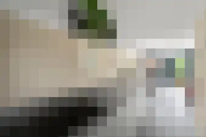 Klaproos 9 Ouderkerk aan de Amstel thumbnail 11
