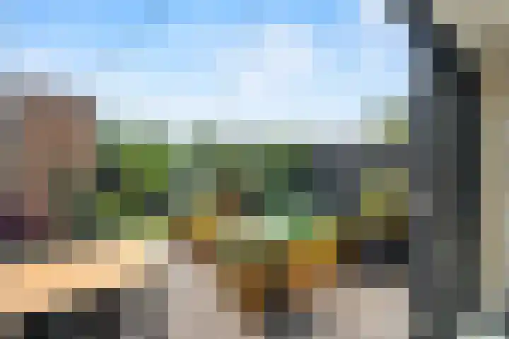 Klaproos 9 Ouderkerk aan de Amstel thumbnail 16