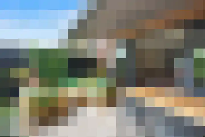 Klaproos 9 Ouderkerk aan de Amstel thumbnail 17