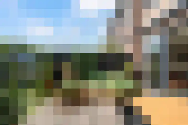 Klaproos 9 Ouderkerk aan de Amstel thumbnail 18