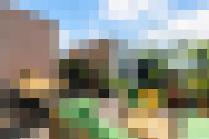 Klaproos 9 Ouderkerk aan de Amstel thumbnail 19