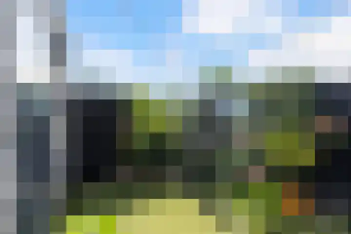 Klaproos 9 Ouderkerk aan de Amstel thumbnail 20