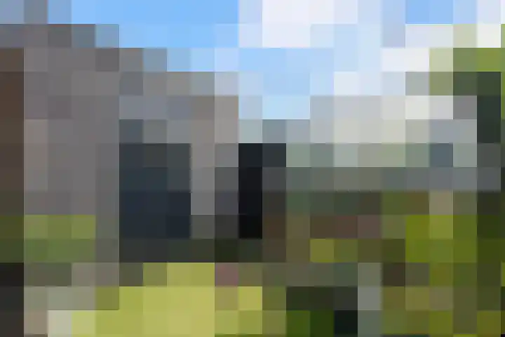 Klaproos 9 Ouderkerk aan de Amstel thumbnail 21