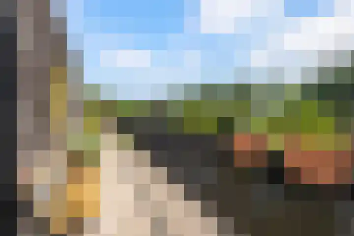Klaproos 9 Ouderkerk aan de Amstel thumbnail 22