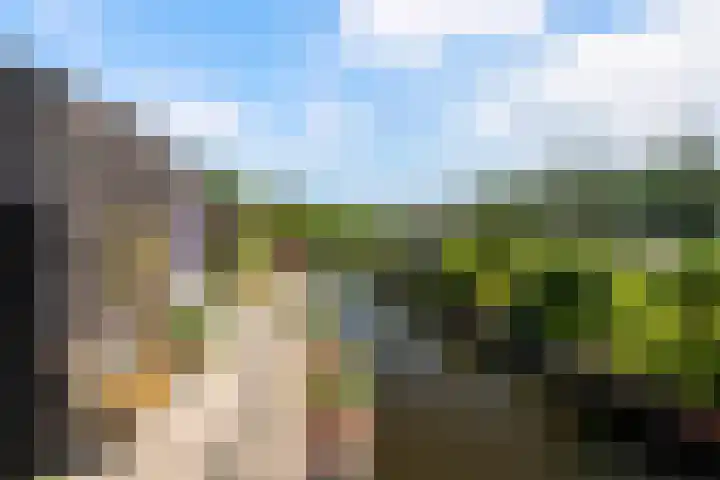 Klaproos 9 Ouderkerk aan de Amstel thumbnail 23