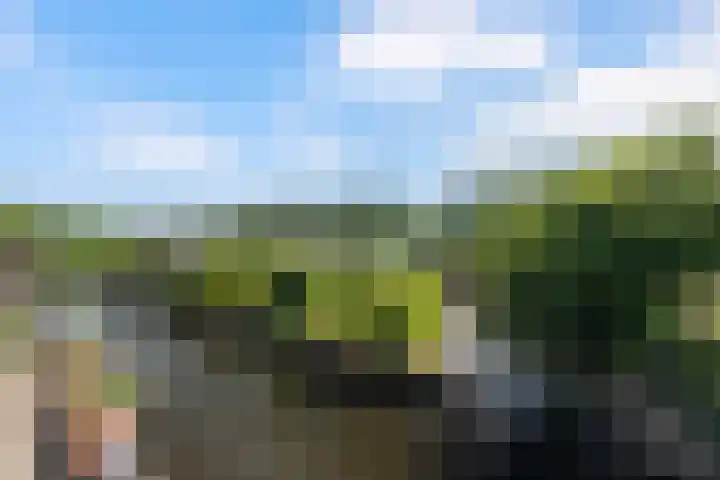 Klaproos 9 Ouderkerk aan de Amstel thumbnail 24