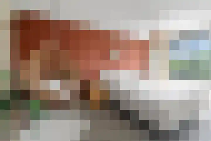 Klaproos 9 Ouderkerk aan de Amstel thumbnail 28