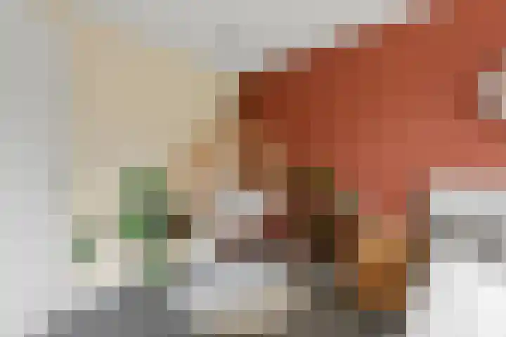 Klaproos 9 Ouderkerk aan de Amstel thumbnail 30
