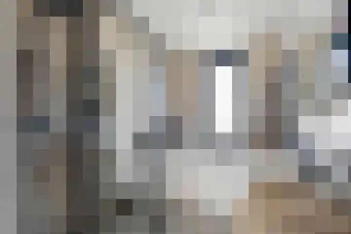 Klaproos 9 Ouderkerk aan de Amstel thumbnail 34