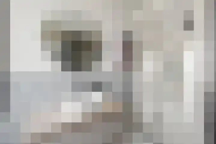 Klaproos 9 Ouderkerk aan de Amstel thumbnail 36
