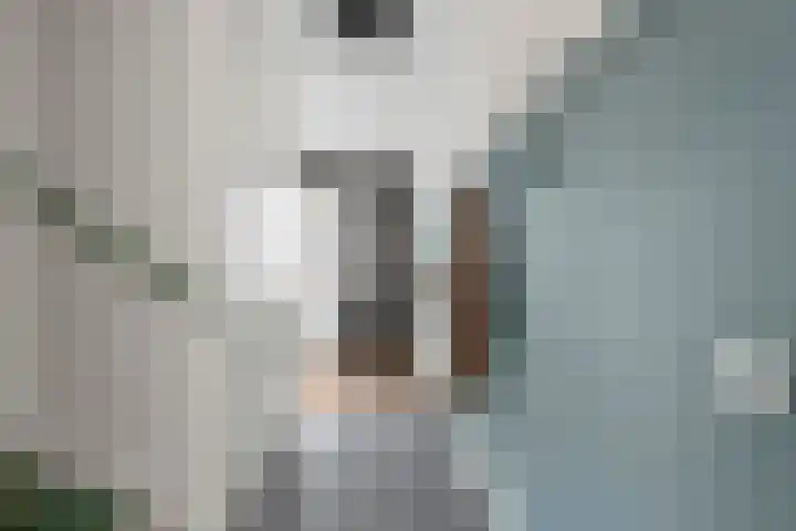 Klaproos 9 Ouderkerk aan de Amstel thumbnail 4