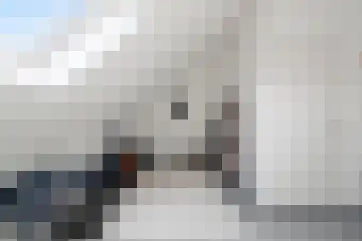 Klaproos 9 Ouderkerk aan de Amstel thumbnail 40