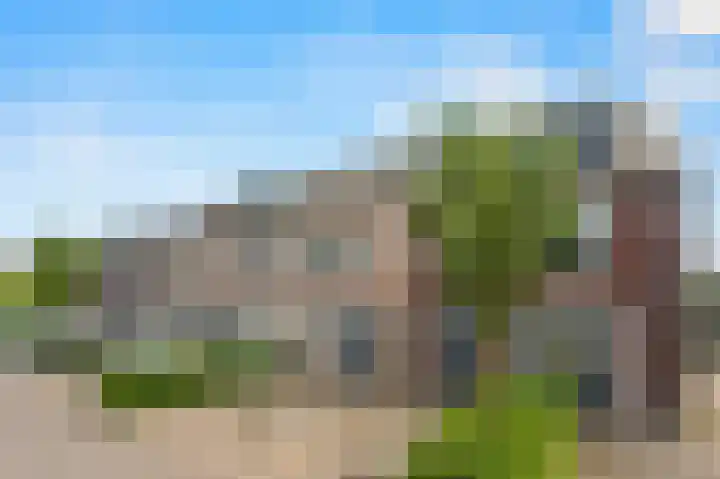 Klaproos 9 Ouderkerk aan de Amstel thumbnail 43