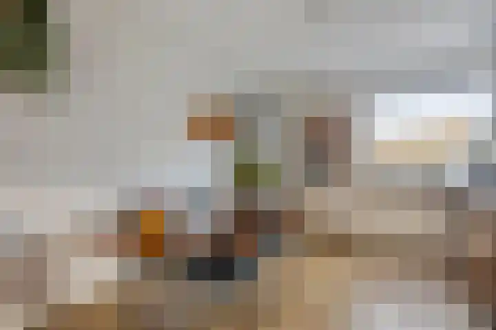 Klaproos 9 Purmerend thumbnail 14