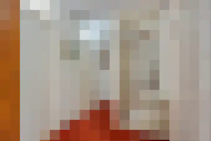 Klaproos 9 Purmerend thumbnail 18