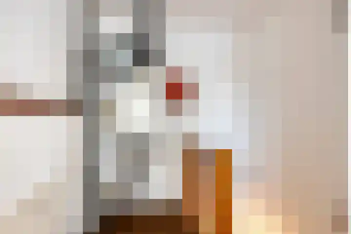 Klaproos 9 Purmerend thumbnail 28