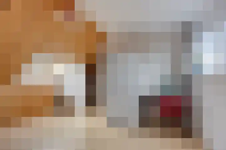 Klaproos 9 Purmerend thumbnail 29